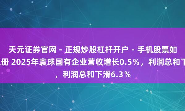 天元证券官网 - 正规炒股杠杆开户 - 手机股票如何配资注册 2025年寰球国有企业营收增长0.5％，利润总和下滑6.3％