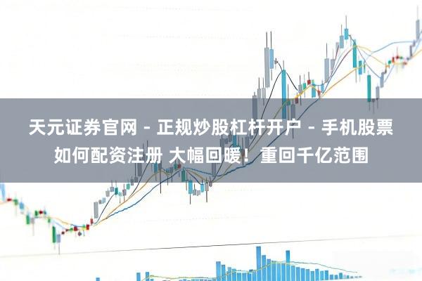 天元证券官网 - 正规炒股杠杆开户 - 手机股票如何配资注册 大幅回暖！重回千亿范围