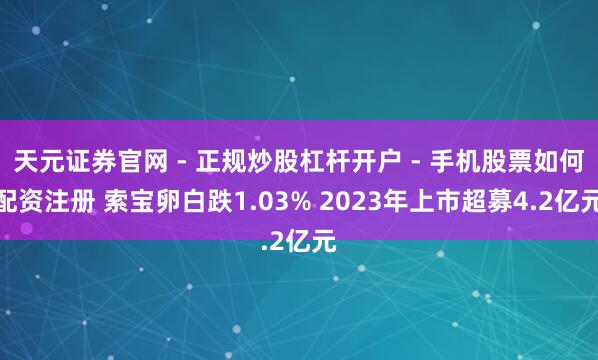 天元证券官网 - 正规炒股杠杆开户 - 手机股票如何配资注册 索宝卵白跌1.03% 2023年上市超募4.2亿元