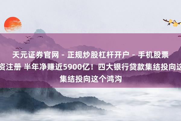 天元证券官网 - 正规炒股杠杆开户 - 手机股票如何配资注册 半年净赚近5900亿！四大银行贷款集结投向这个鸿沟